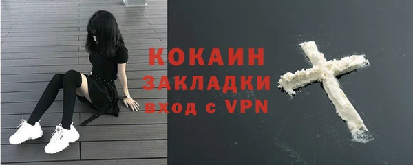mdpv Вяземский