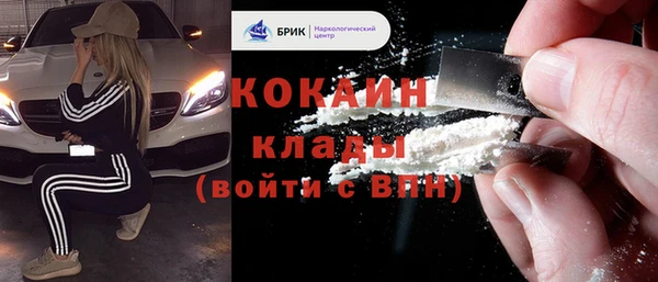 mdpv Вяземский