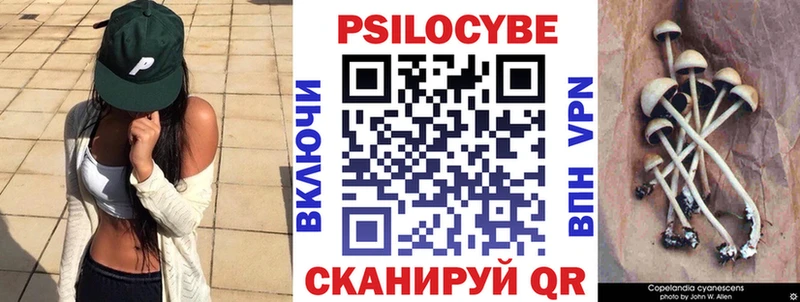 Купить  Медвежьегорск  Галлюциногенные грибы мицелий 